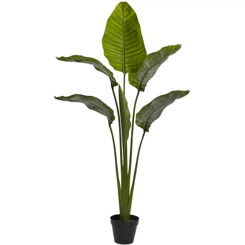 Nearly Natural 63 . UV Resistant Indoor Outdoor Travelers Palm Artificial Tree