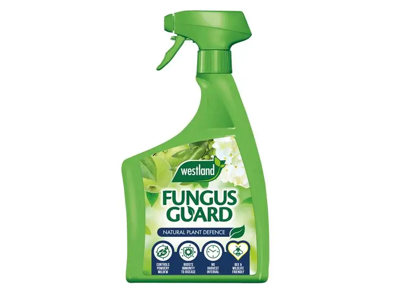 Non-Toxic Westland Fungus Guard 800ml