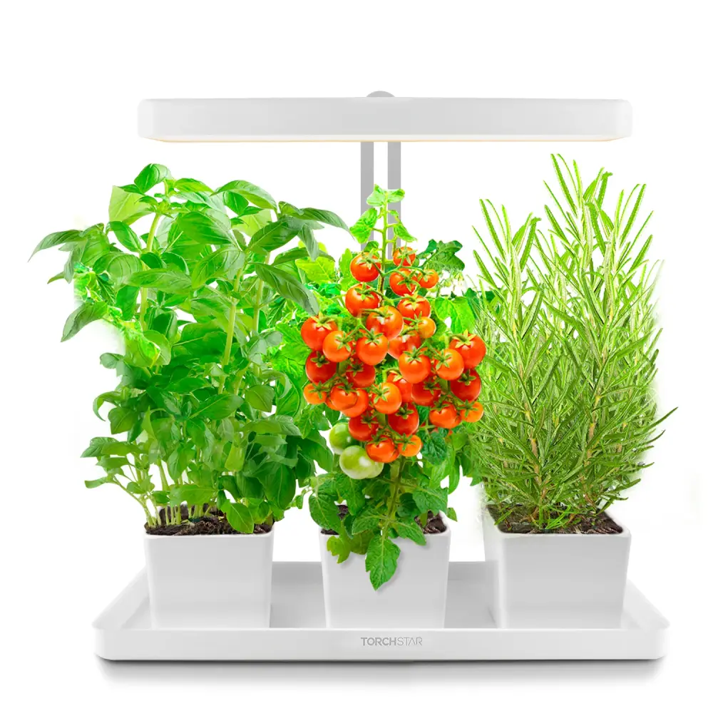 HerbaLux™ Height-Adjustable Grow Airy
