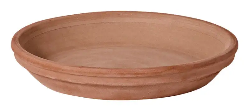 Deroma 1.6 H x 12.2 Dia Clay Rich Plant Saucer Chocolate Pack 8