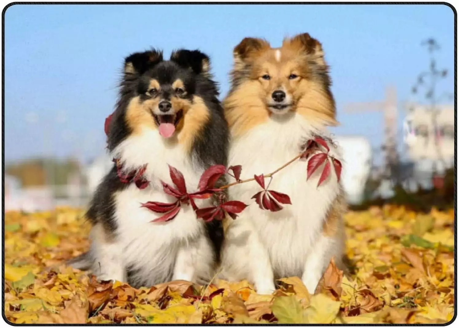 Two Cute Dog Autumn Crawling Indoor Carpet Play Mat 63x48in Living Room Bedroom Nursery FREEAM