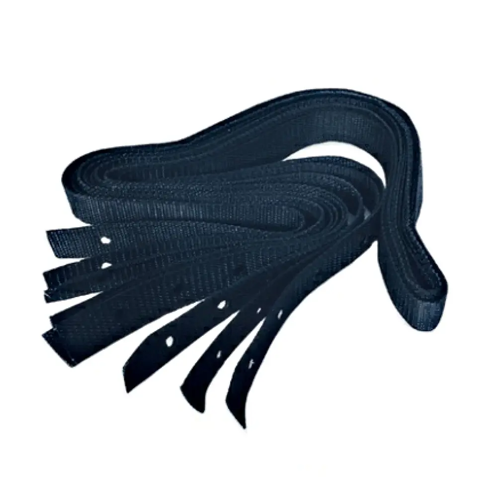 75133/75166/75167 Trevi pool strap 2-Year Pump Warranty