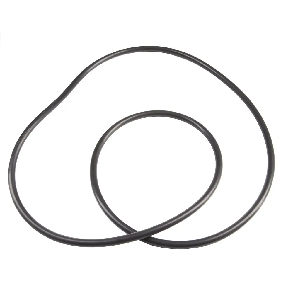 Energy Efficient XSTREAM Filter Tank Body O-Ring