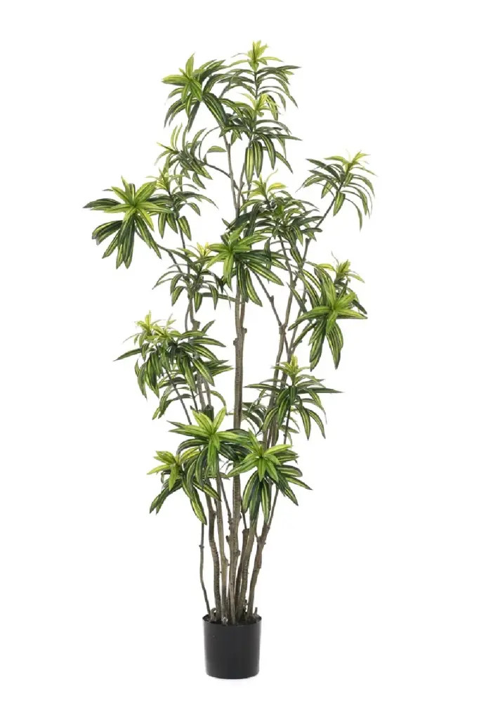 2 Pack Medium Multi-Stemmed Faux Plants Artificial Dracaena Floor Decor