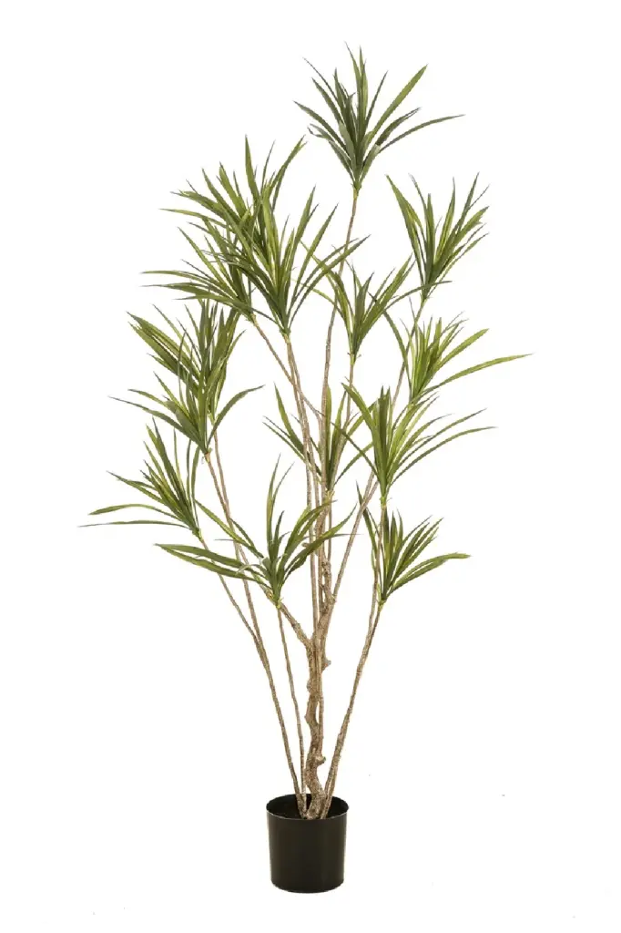 2 Pack Small Multi-Stemmed Faux Plants Artificial Dracaena Desk Decor