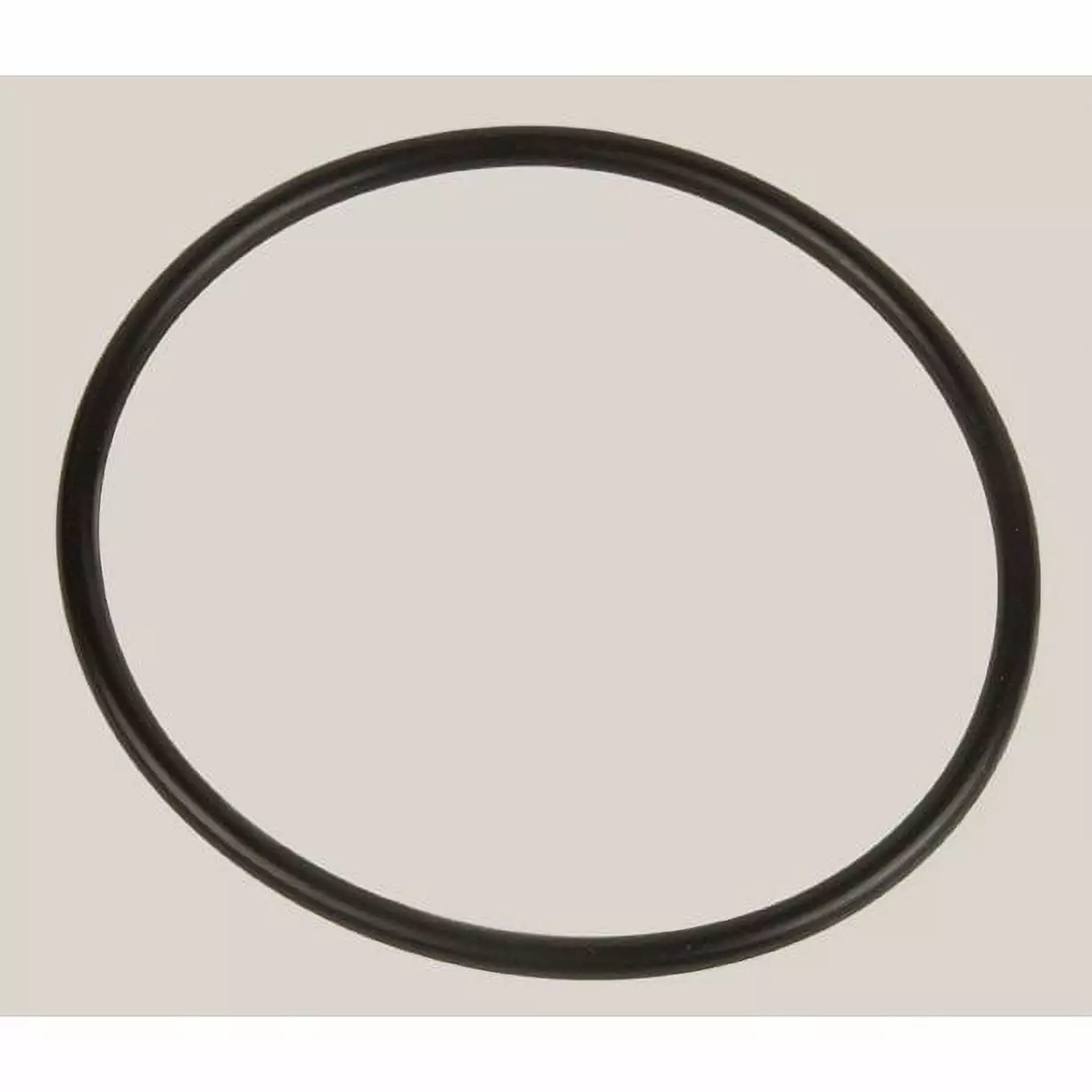 Rx Clear Strainer Lid O-ring Replacement Little Niagara Pump Ceramic