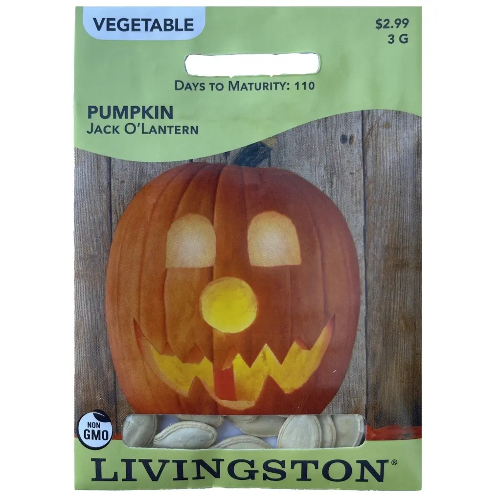 Livingston Seed Pumpkin Jack O'Lantern 3 g Halloween Pumpkin Seeds