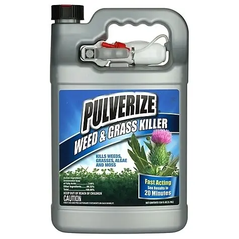 Pulverize Weed & Grass Killer Ready-to-Spray 1-Gallon - Fast-Acting Herbicide