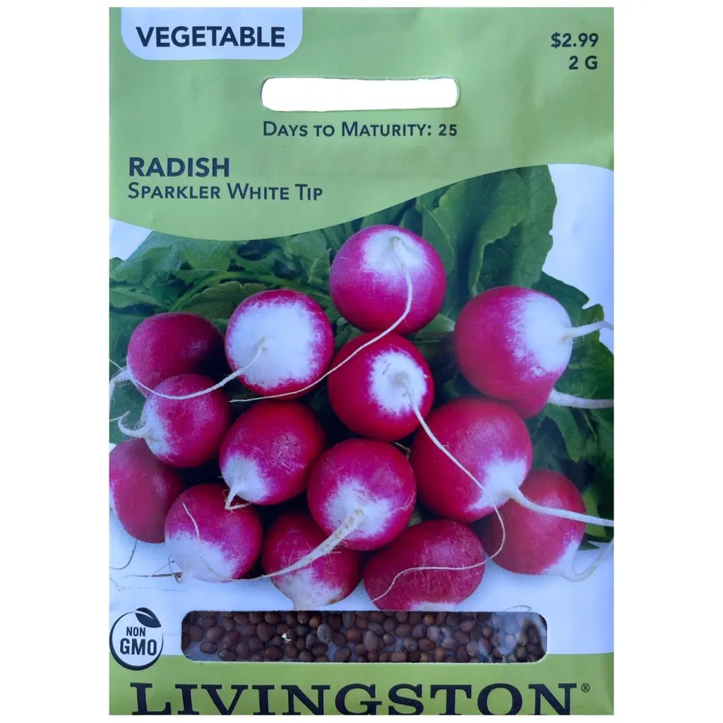 Livingston Seed Radish Sparkler White Tip 2 g Fast Growing Vegetable Seeds