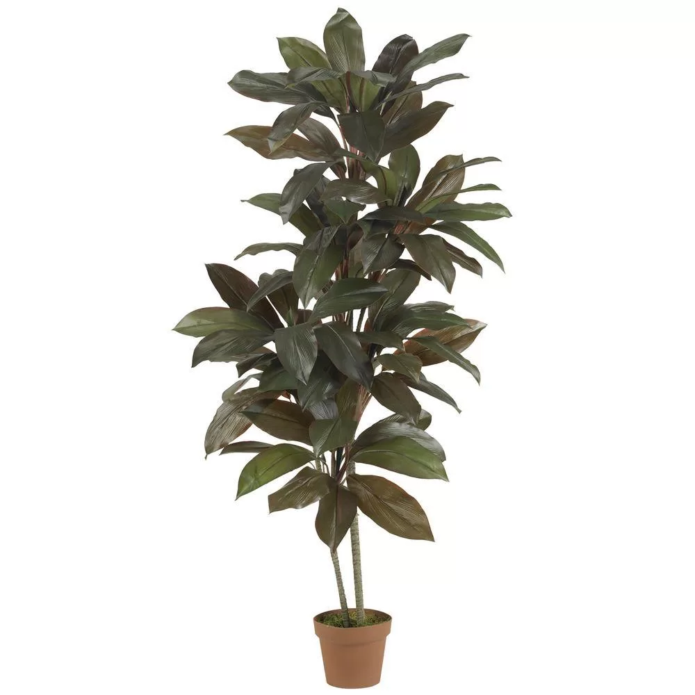 Nearly Natural 5 ft. Cordyline Real Touch Silk Plant Indoor Decor