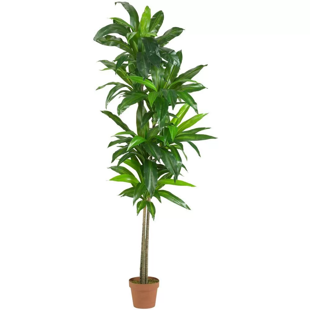 Nearly Natural Real Touch 6 ft Dracaena Silk Plant Home or Office