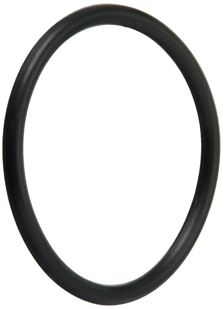 Pentair 191474 O-Ring Replacement Pool/Spa Filter and Skimmers