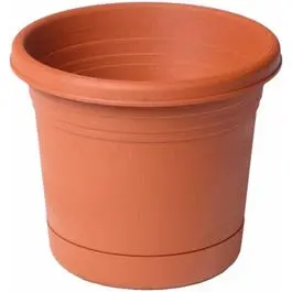 Planter & Saucer Plastic Terra Cotta 4.5-Inch Indoor Plants Various
