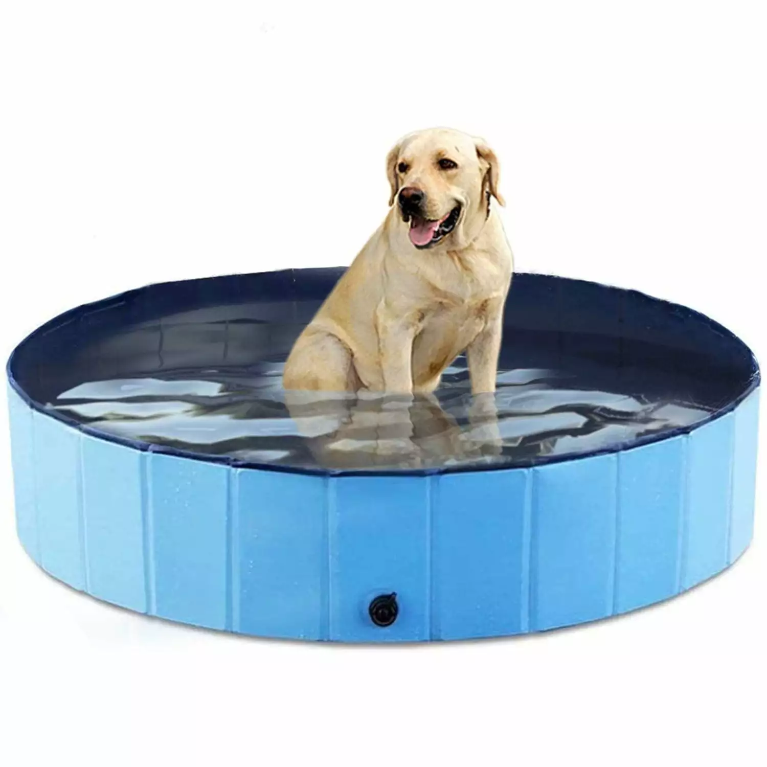 Pet Dog Pool Bath Swimming Tub Kiddie Pool 48 x 12 Inch Collapsible Dogs Cats Kids L