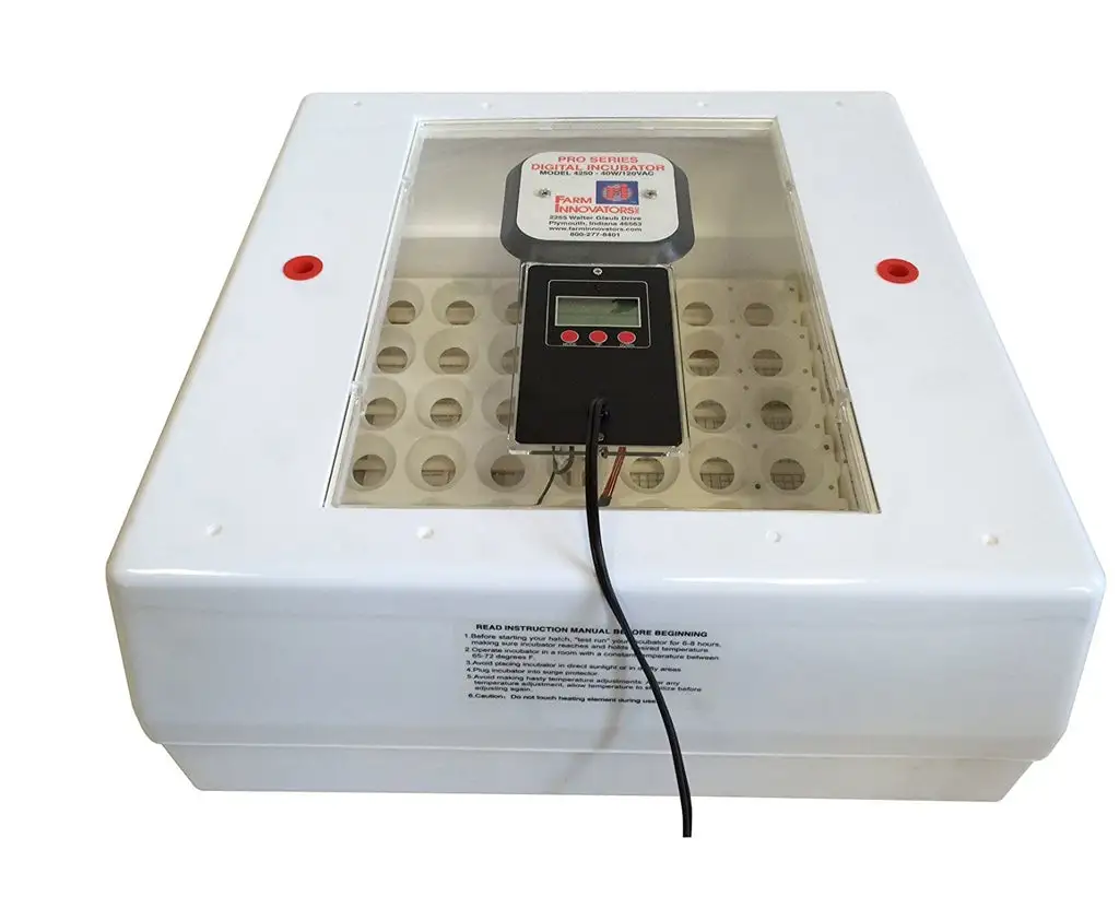 Termite Detection & Killing Stakes - Effective Pest Control Home Protection SPECTRACIDE