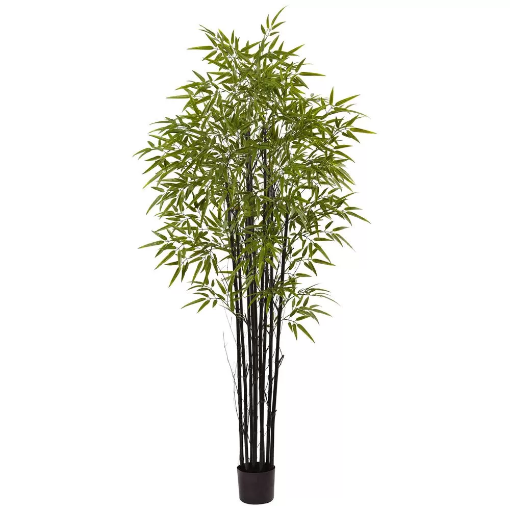 Nearly Natural 6 ft. Black Bamboo Tree UV Resistant Indoor and Outdoor