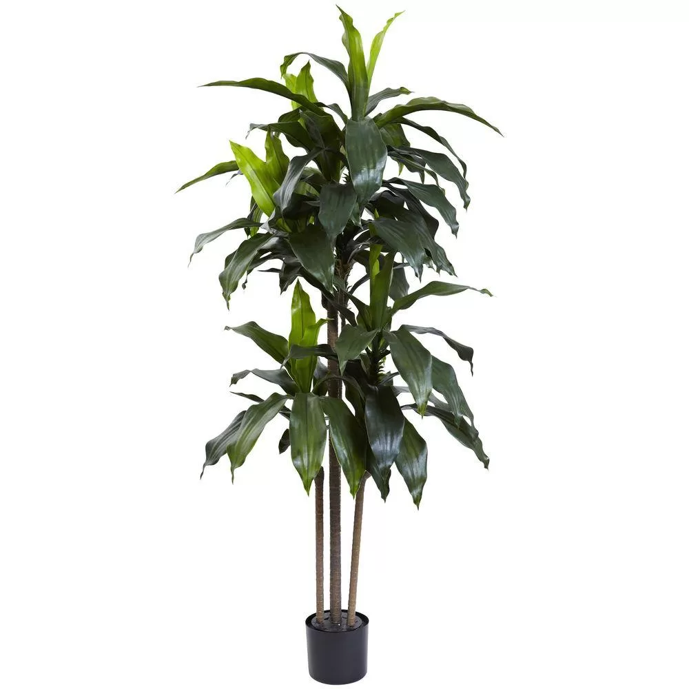 Nearly Natural 5 ft. UV Resistant Dracaena Plant Indoor and Outdoor Use