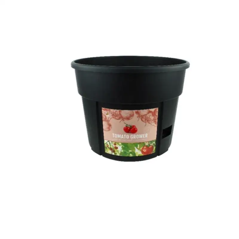 Buzzy Tomato Garden Kit 1 pk Home Gardening and Planting
