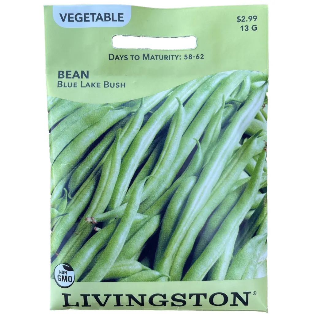 Livingston Seed Bean Blue Lake Bush 13 g - High Yield Vegetable Seeds Home Garden