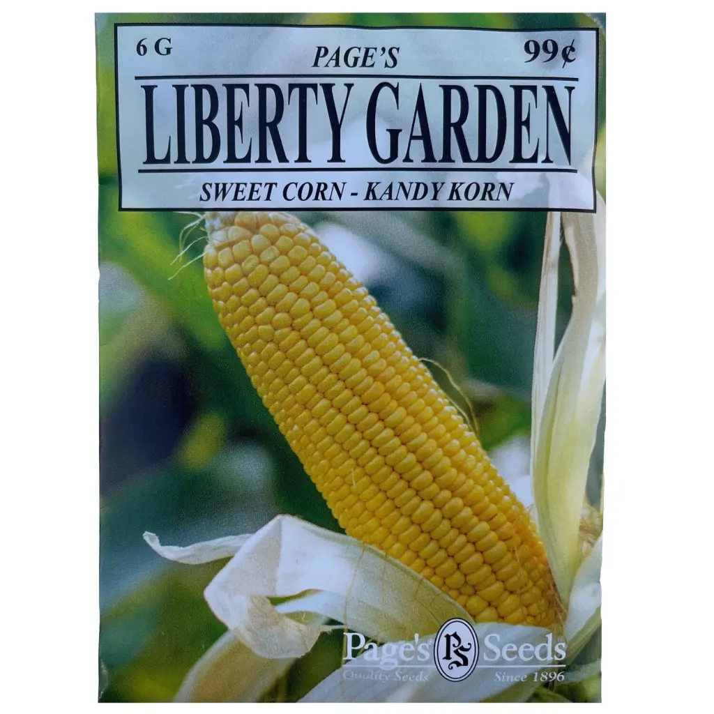 Liberty Garden Sweet Corn Kandy Korn 6 g Sweet Yellow Corn Seeds Planting Page's Seeds
