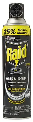 Raid Spray Wasp and Hornet Killer 17.5 oz Pack 12