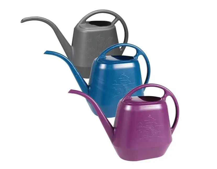 Bloem AW21-ASST-6 Aqua-Rite Watering Can 56 Oz Indoor and Outdoor Plants