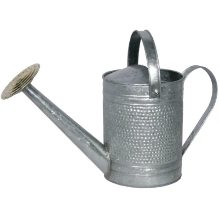Robert Allen MPT01191 Jameson Galvanized Watering Can 1 Gallon