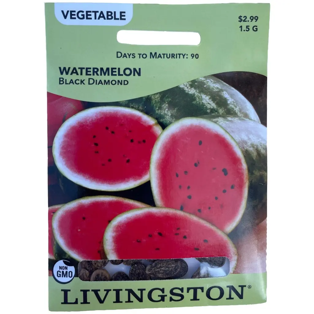 Livingston Seed Watermelon Black Diamond 1.5 g Large Fruit Seeds