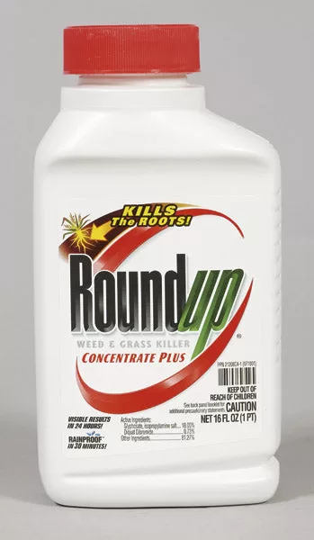 Round Up 5005510 Weed & Grass Killer Concentrate 1 Pint Fast Acting Herbicide