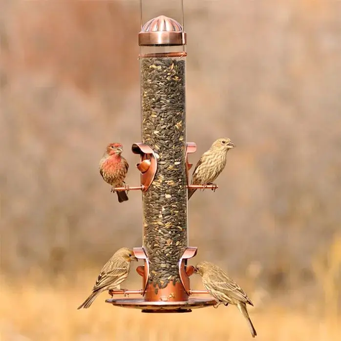 Woodstream Perky-Pet Copper Finish 2--1 Wild Bird Feeder